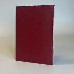 THE FLASHBACK - AFTER THE ACID TRIP (TWEEDEHANDS) - Afbeelding 2