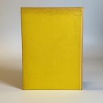 GREAT POP STARS, ANDY GRAY (TWEEDEHANDS) - Afbeelding 2