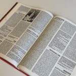 POP ENCYCLOPEDIE, 5E EDITIE (TWEEDEHANDS) - Afbeelding 4