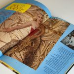 BLONDIE GIFT BOOK, OFFICIAL FAN CLUB EDITION (TWEEDEHANDS) - Afbeelding 3