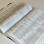 ROCK & POP, DER GROSSE LP/CD PREISKATALOG 2010 (TWEEDEHANDS) - Afbeelding 3