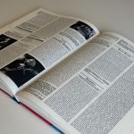 OOR’S EERSTE NEDERLANDSE POP ENCYCLOPEDIE, 9e EDITIE (TWEEDEHANDS) - Afbeelding 3