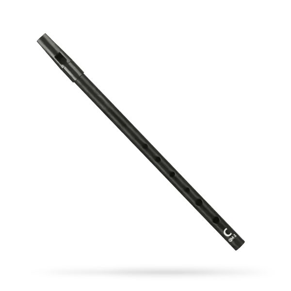 IERSE FLUIT + BESCHERMETUI (TOONSOORT-C)