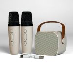 KARAOKESET MET BLUETOOTH-SPEAKER EN 2 MICROFOONS (DRAADLOOS)