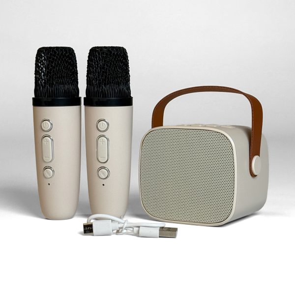 KARAOKESET MET BLUETOOTH-SPEAKER EN 2 MICROFOONS (DRAADLOOS)